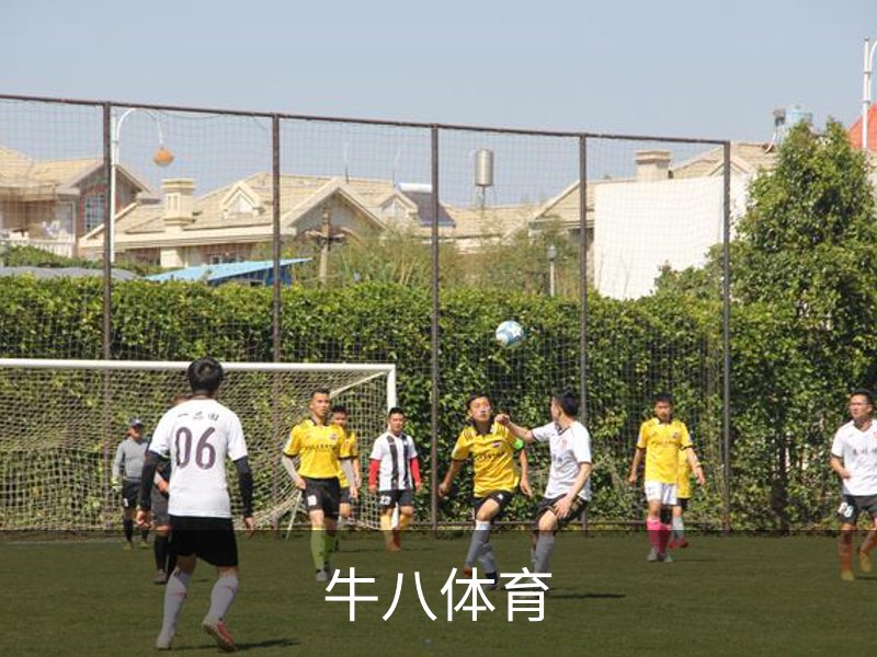 走进牛八体育